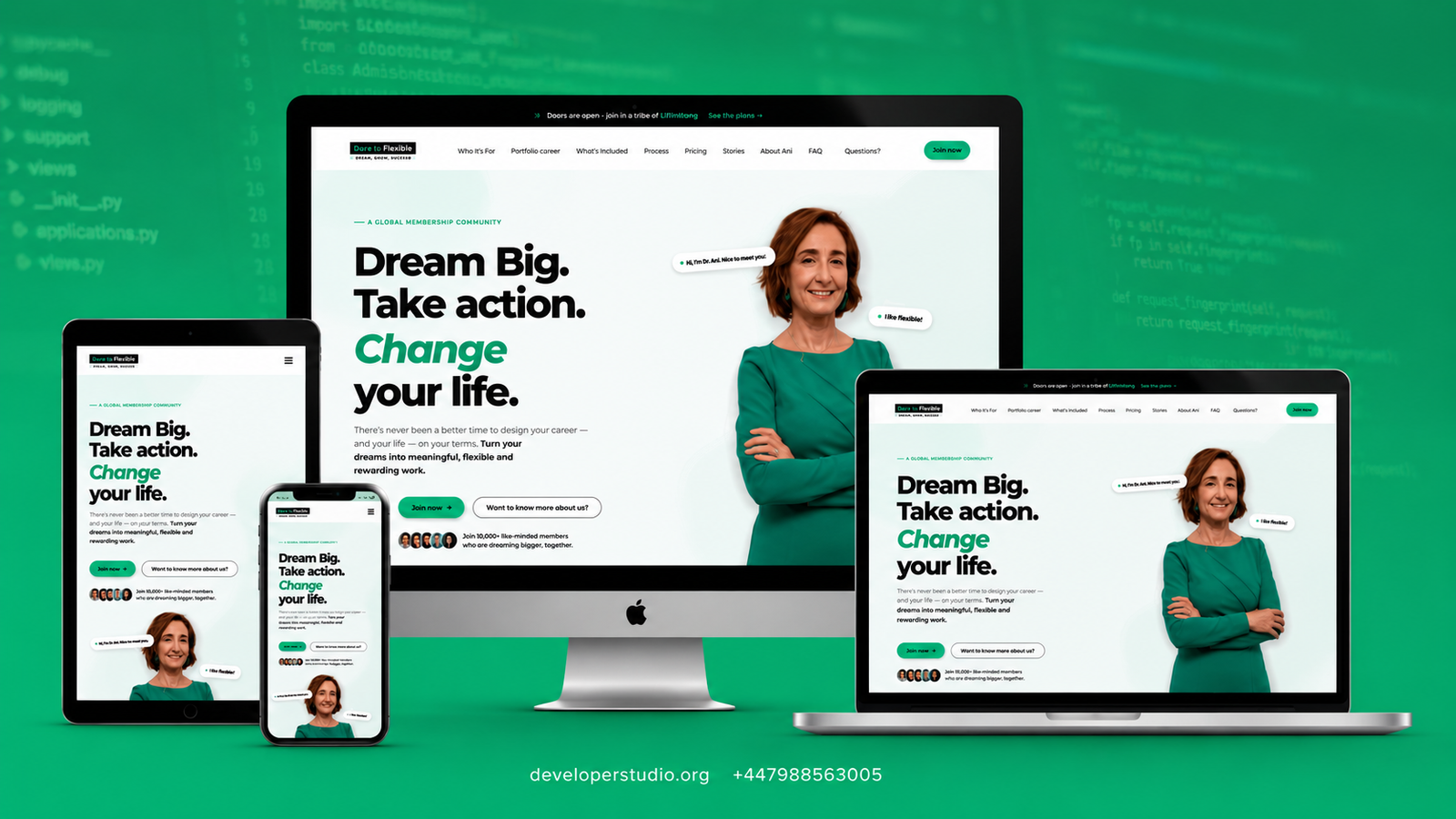 Ani — Personal Portfolio — live site screenshot at desktop scale